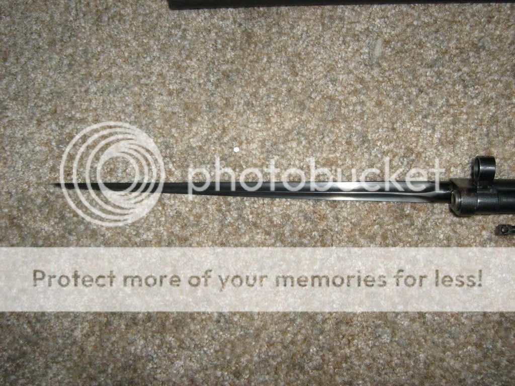 IMG_0067.jpg