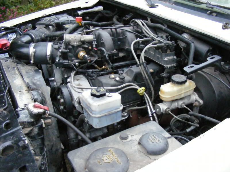 DSCF1095.jpg