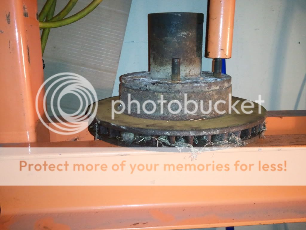 2011-01-26175653.jpg