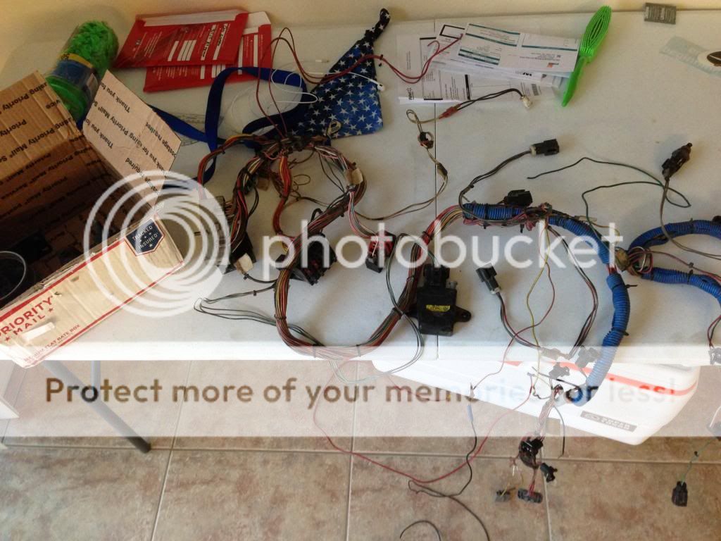 IMG_1889_zpsb5b125e4.jpg