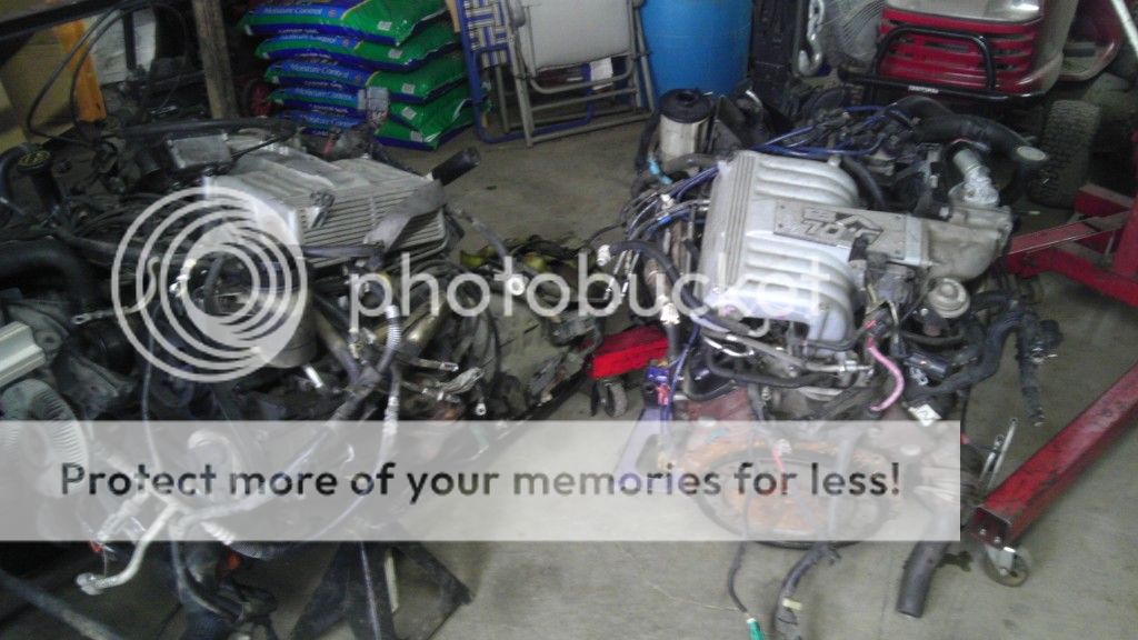 IMAG0816_zpsef45bc7f.jpg
