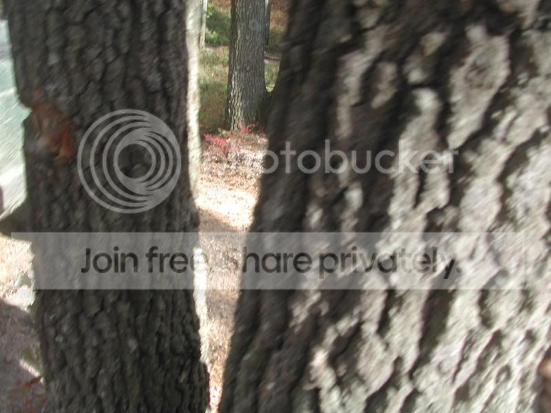 October Wheeling South Jersey