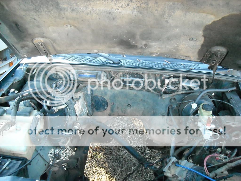 DSCN0232.jpg