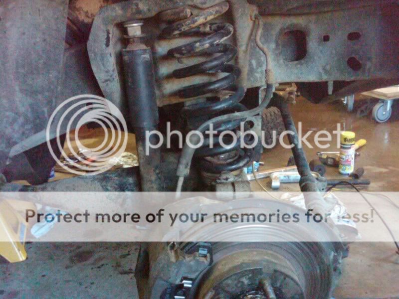 IMG00764-20110403-1120.jpg