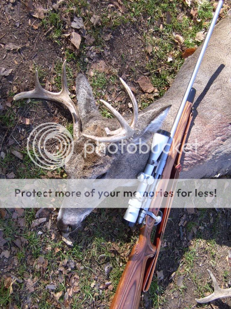 Deer07080.jpg