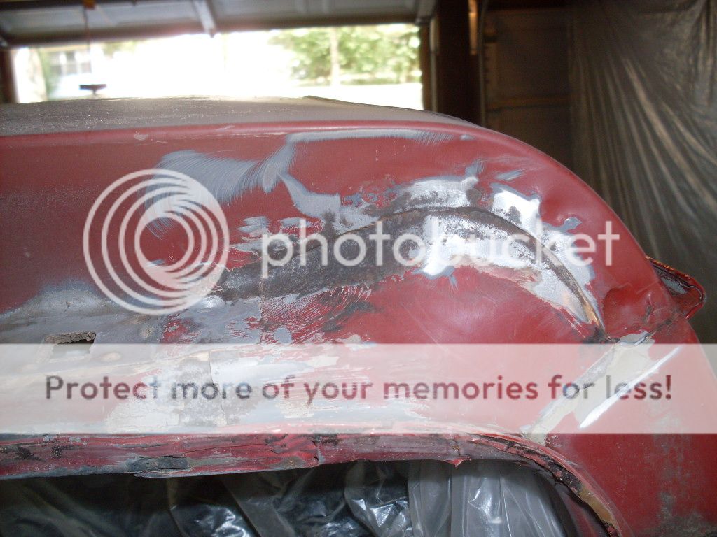 SDC12331.jpg