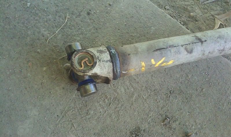 IMAG02961.jpg