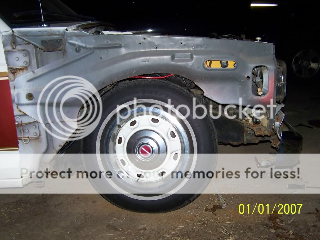 302036.jpg