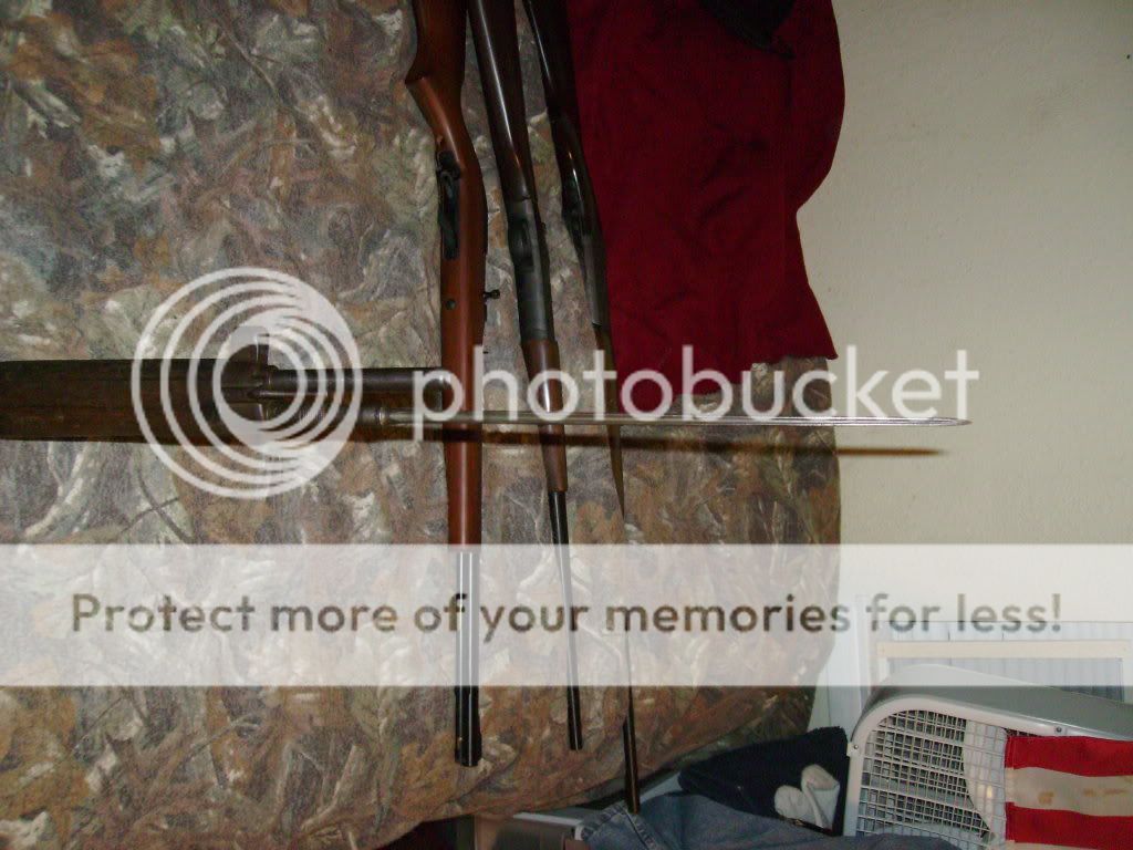 collection009.jpg