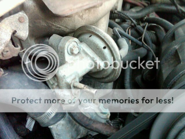 IMG02209-20120519-1409.jpg