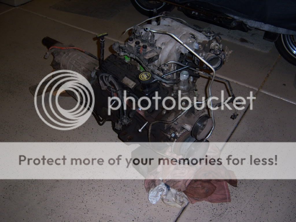 100_8565.jpg