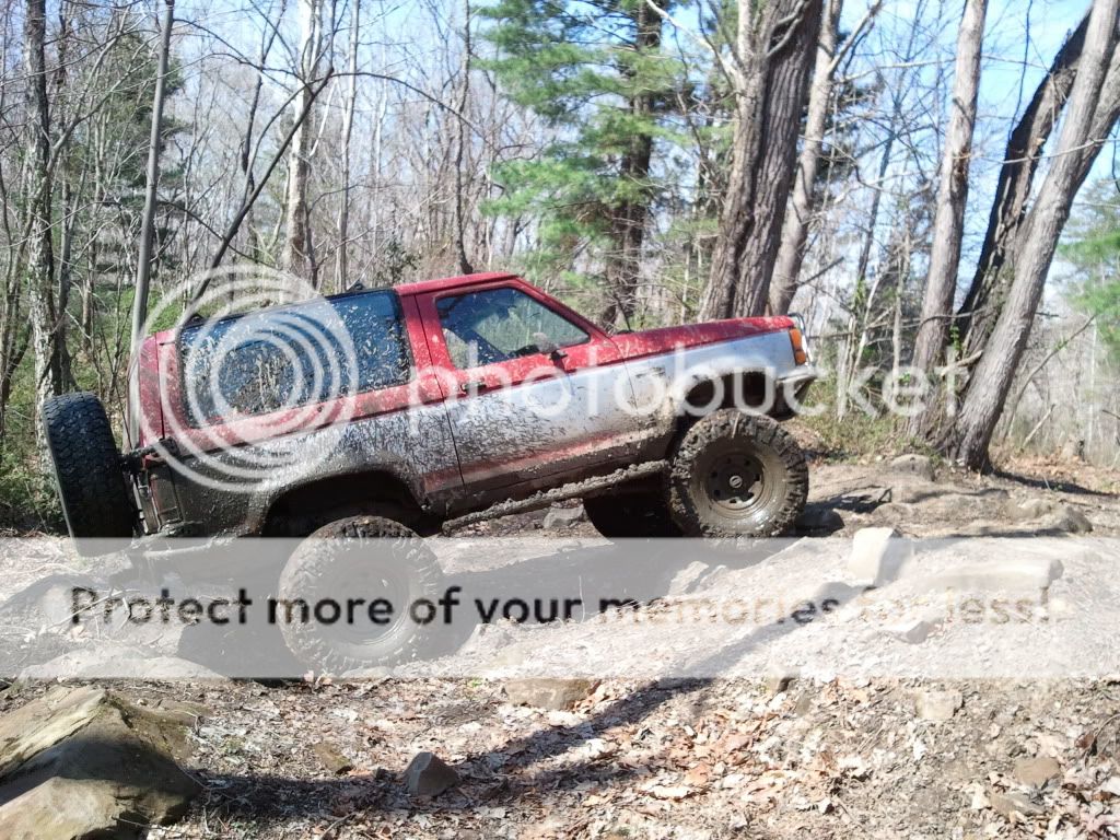2011-03-27145248.jpg
