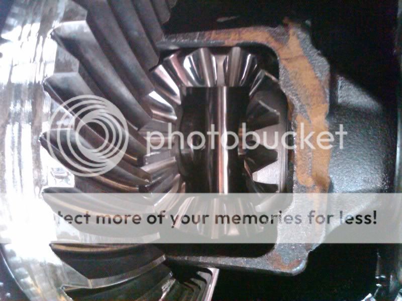 IMG00825-20110423-1120.jpg