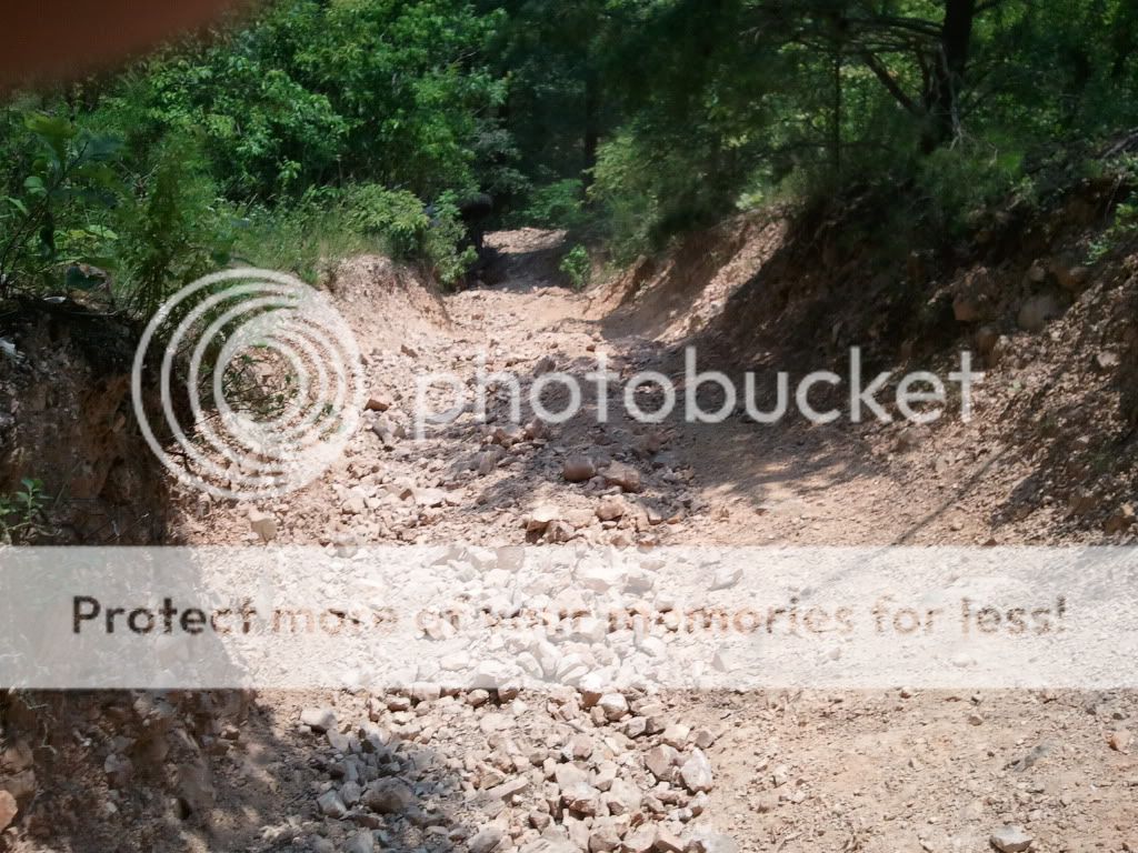 2011-06-11132519.jpg