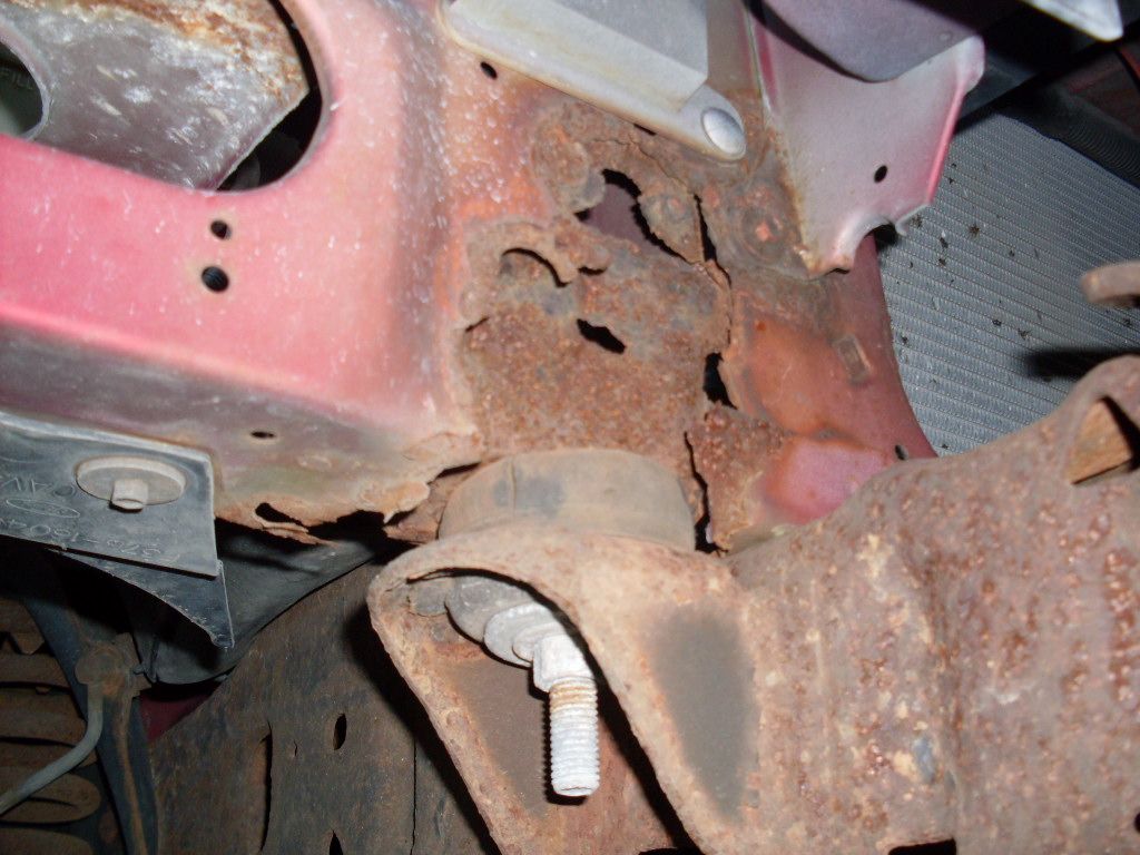 SDC12449.jpg