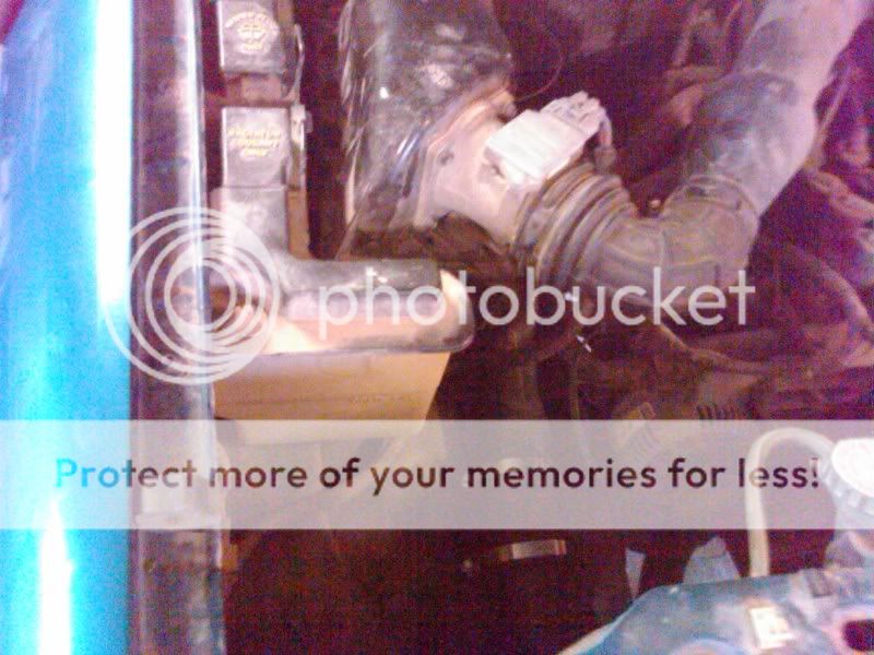 IMG00810-20110416-1904.jpg