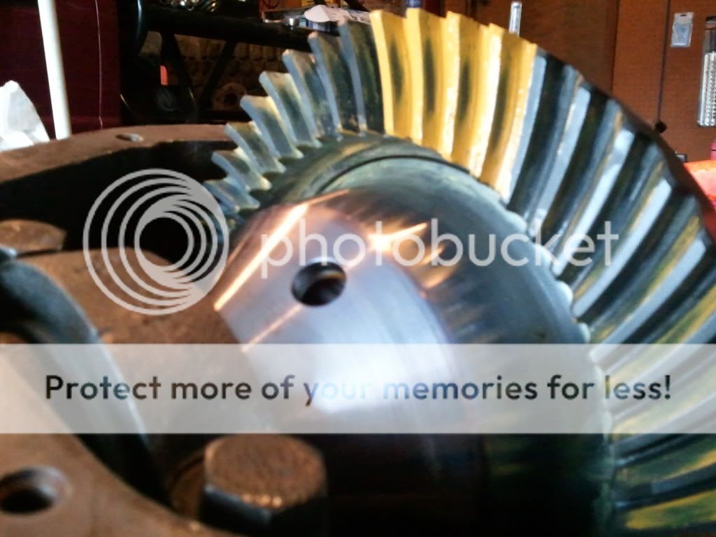 2011-07-31193627.jpg