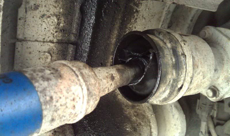 IMAG02801.jpg