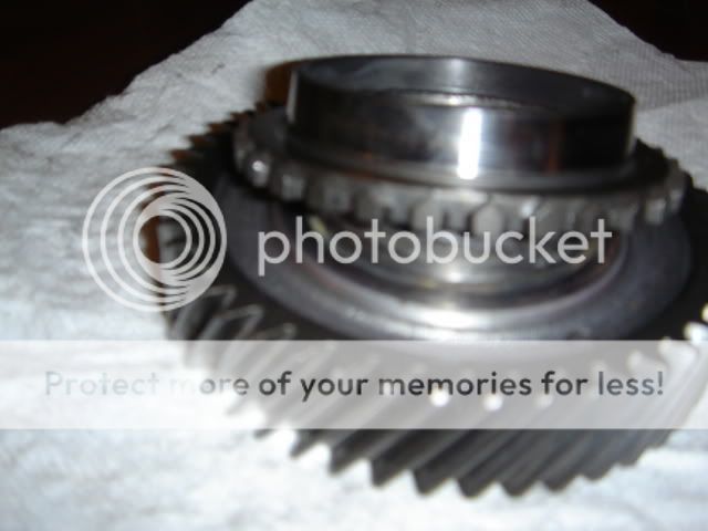 DSC05436.jpg