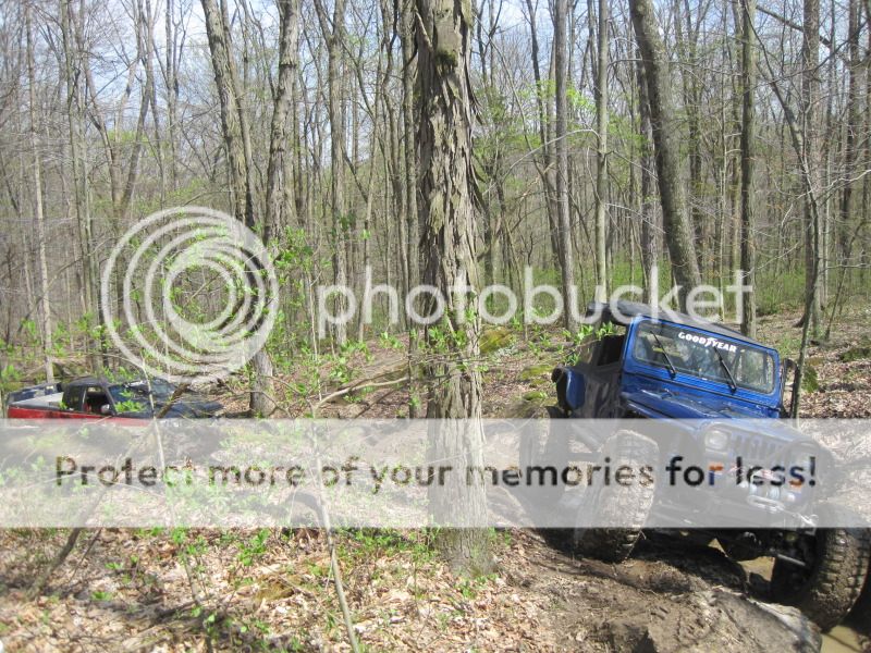 IMG_2424.jpg