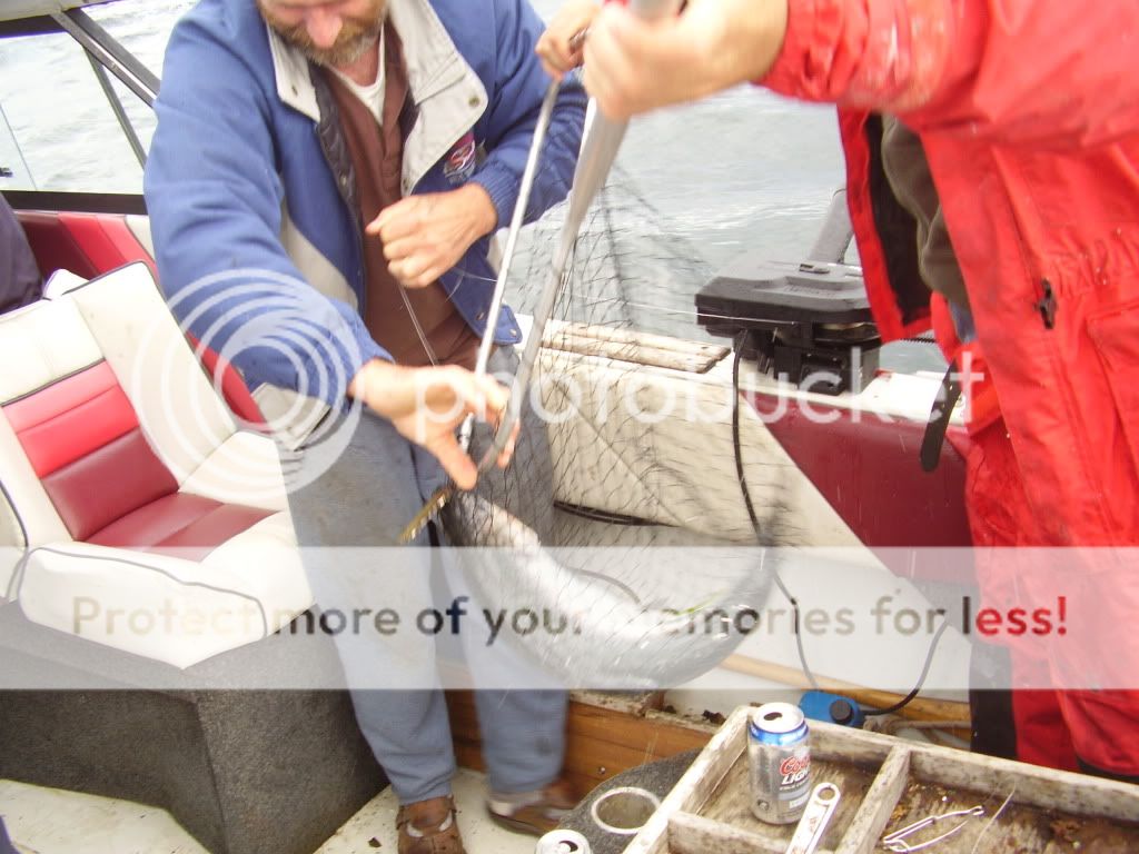 fish006.jpg