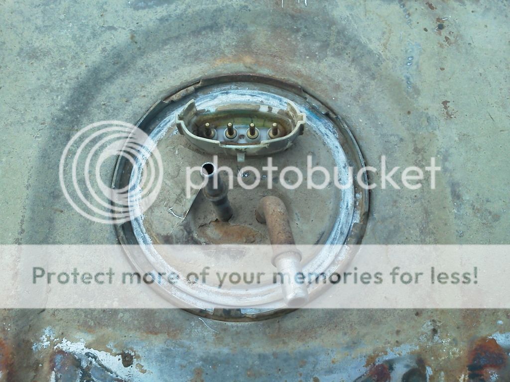 IMG_20120926_170644-1.jpg