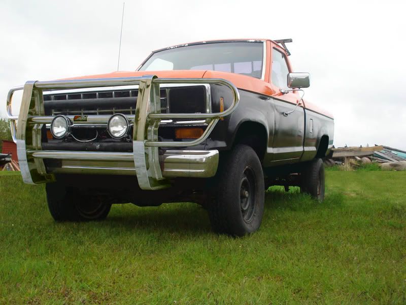 Boggin2.jpg