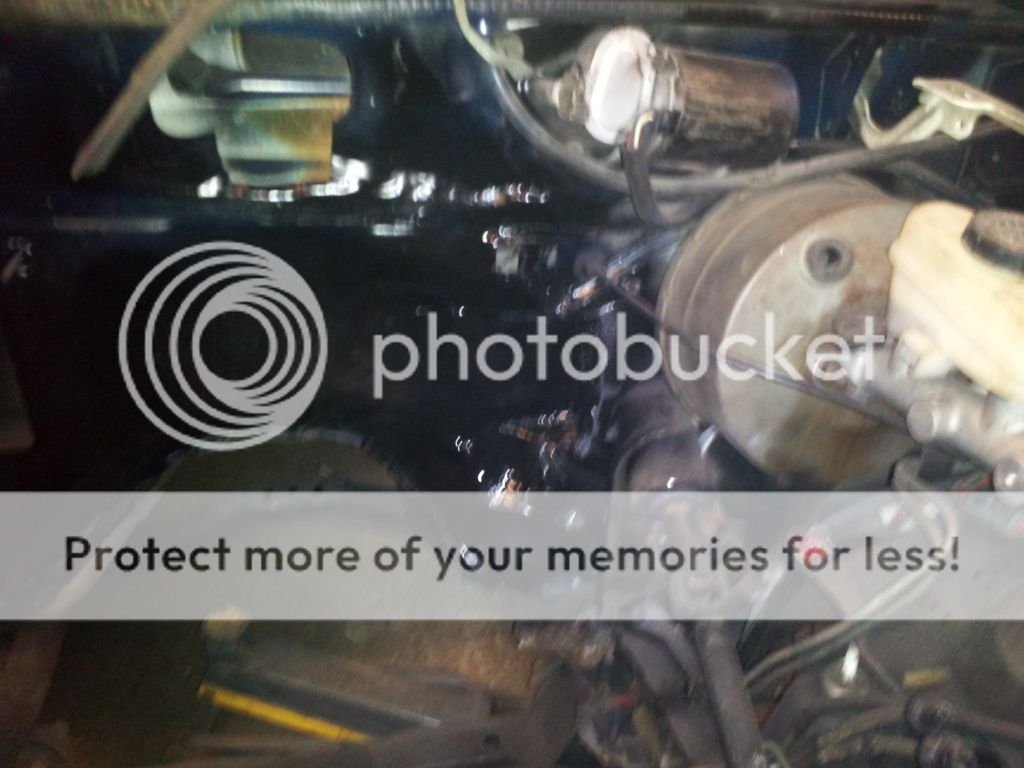 2013-01-08183541.jpg