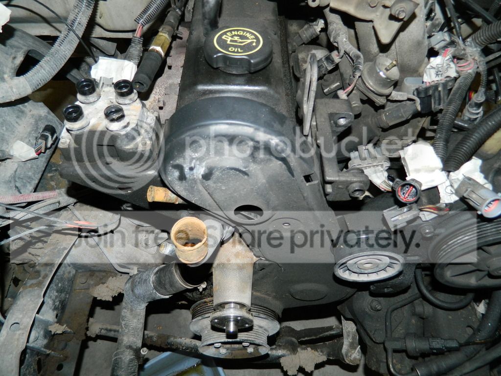 Bumble's Build Thread