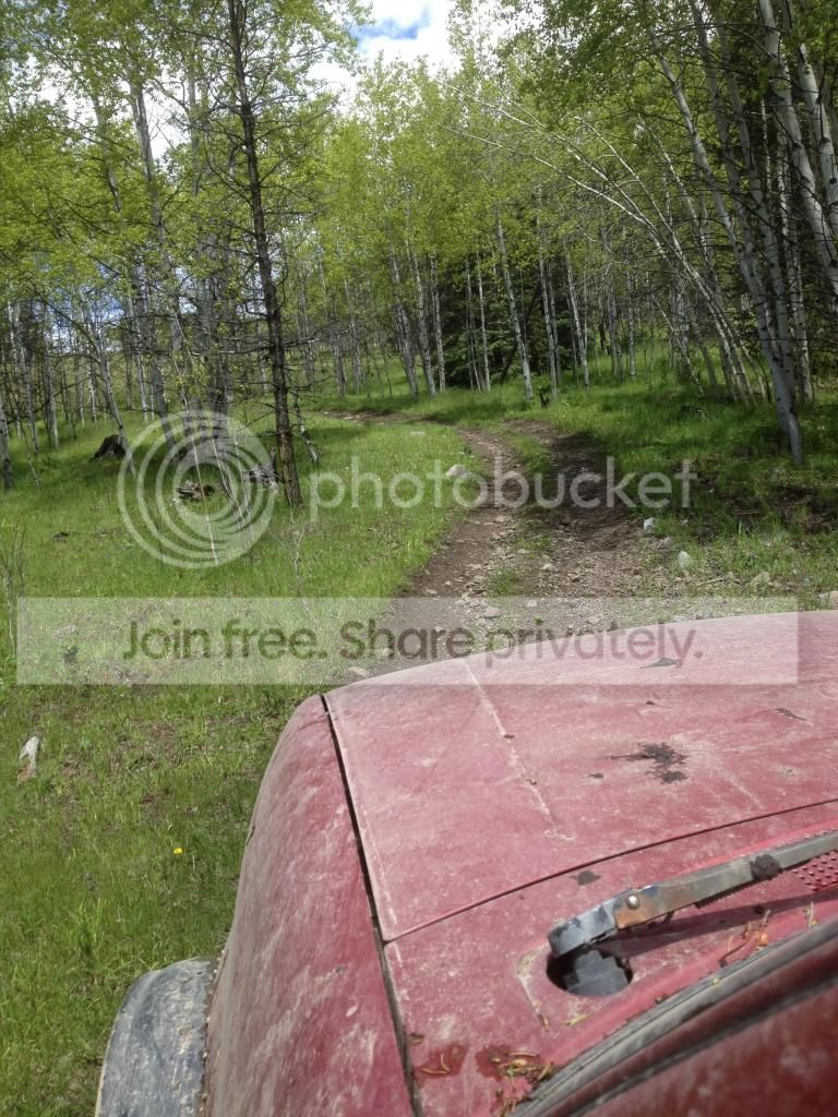 hockeyryans ranger build