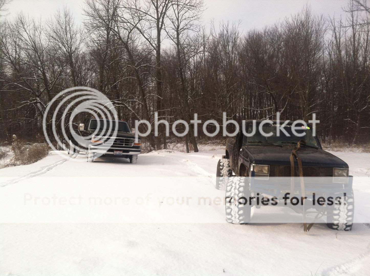 PhotoFeb03115047AM_zpsb17a03a1.jpg