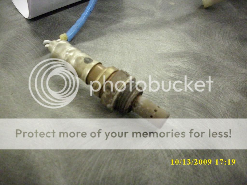 DSCI0246.jpg