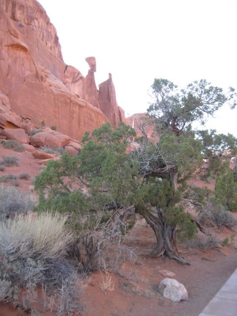 Arches009.jpg