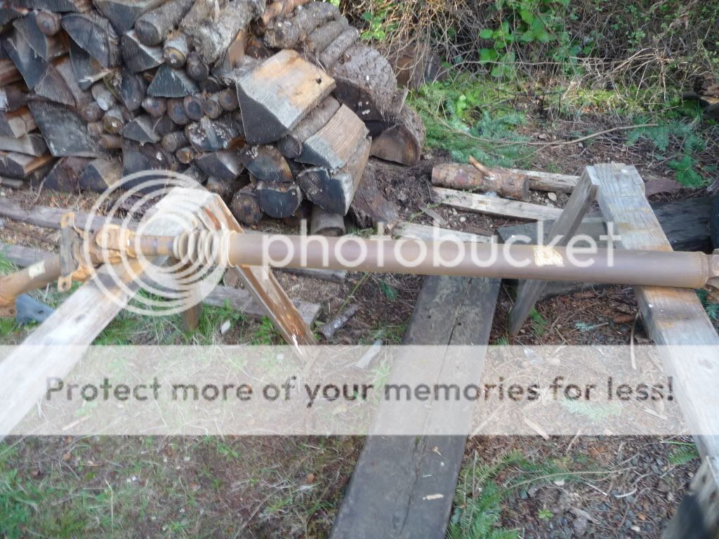 ShanePics2010-ishpart21091.jpg
