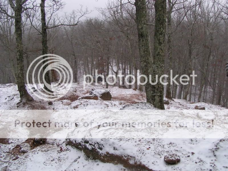 Dec122010027.jpg