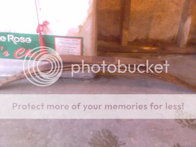 IMAG0096.jpg