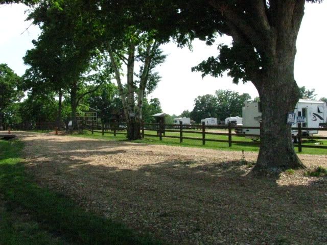 IMG_0385.jpg