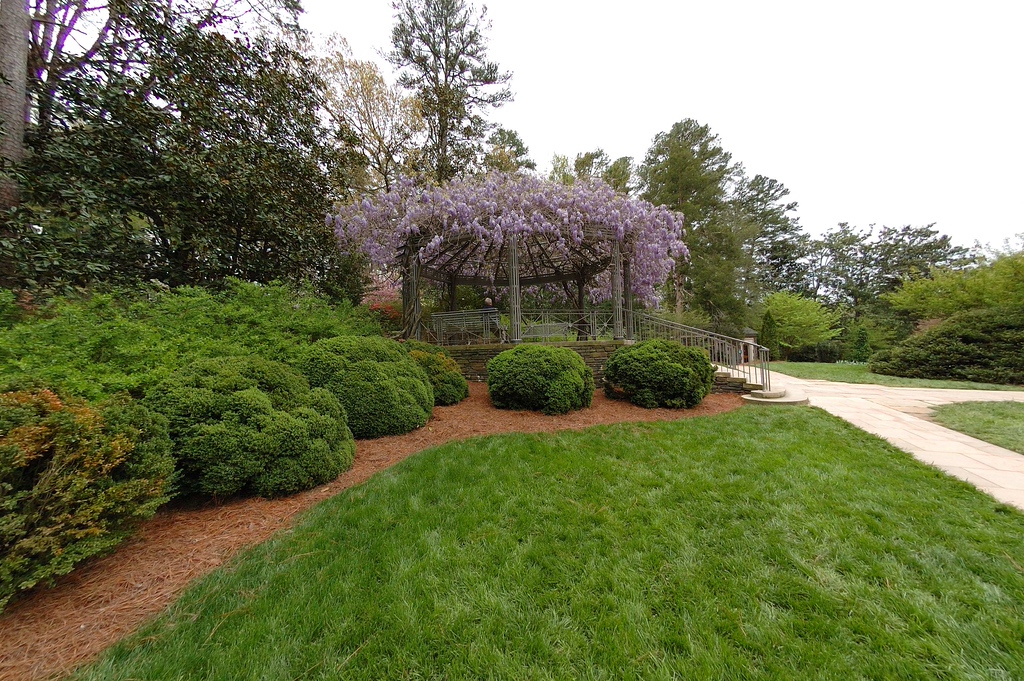 Duke Gardens - April 13, 2009