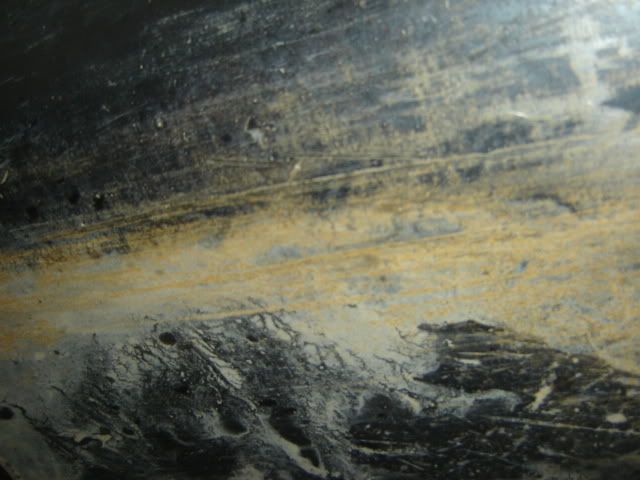 DSC01382.jpg
