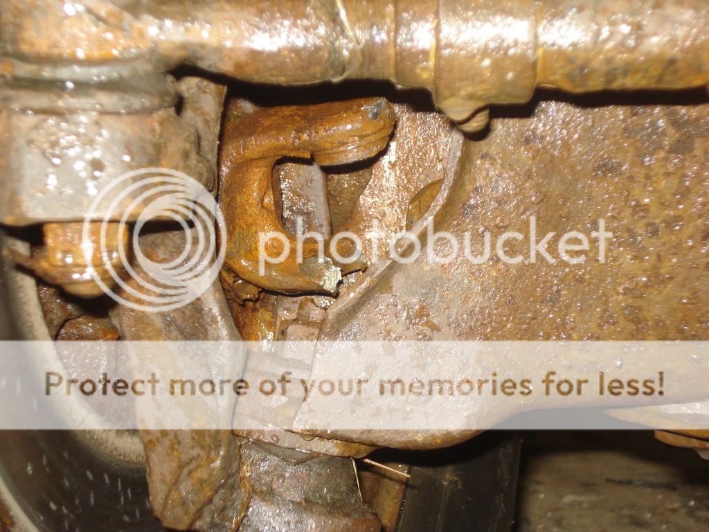 DSC02645.jpg