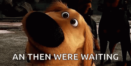 up-dog-and-then-well-were-waiting-hlgp8scyhc8cwqd4.gif