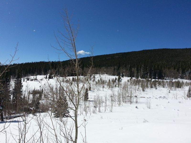 20130310_114124_zps8b3e0ca9.jpg