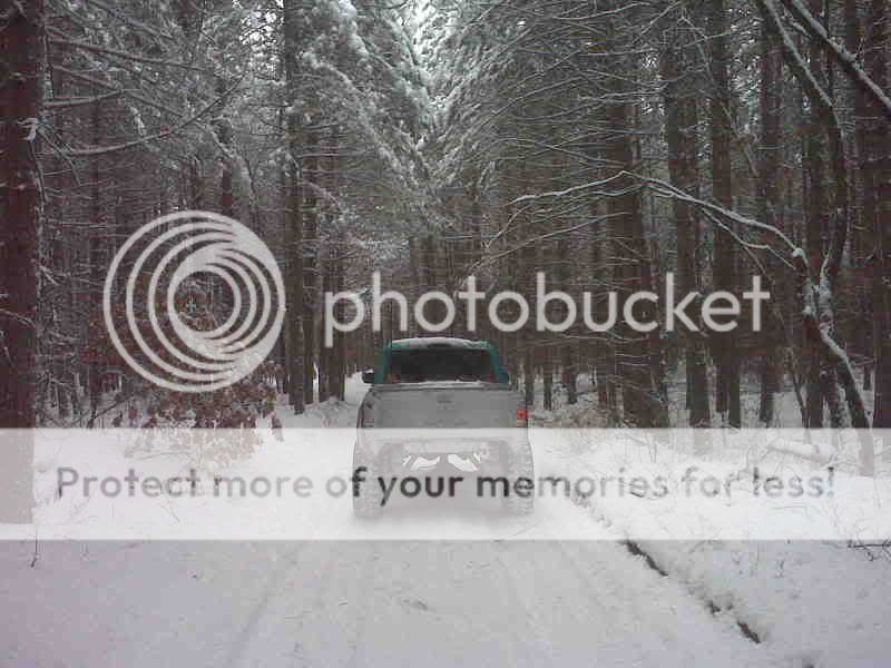 IMG00118.jpg