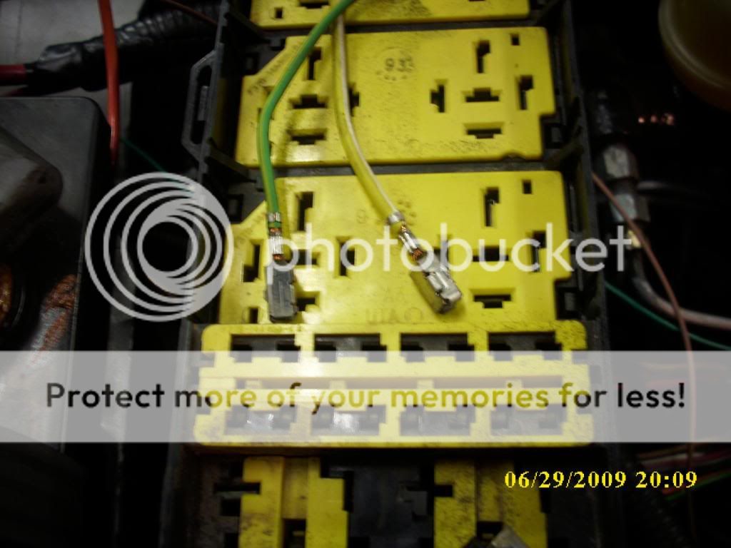 DSCI0079.jpg