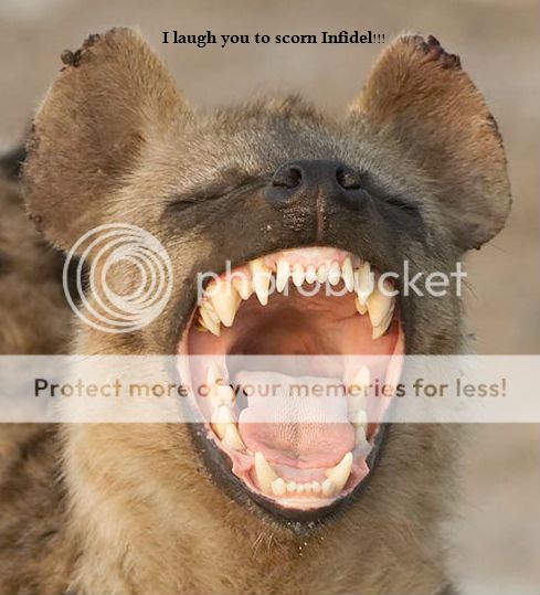 HyennaInfidel_zps2dbed54a.jpg