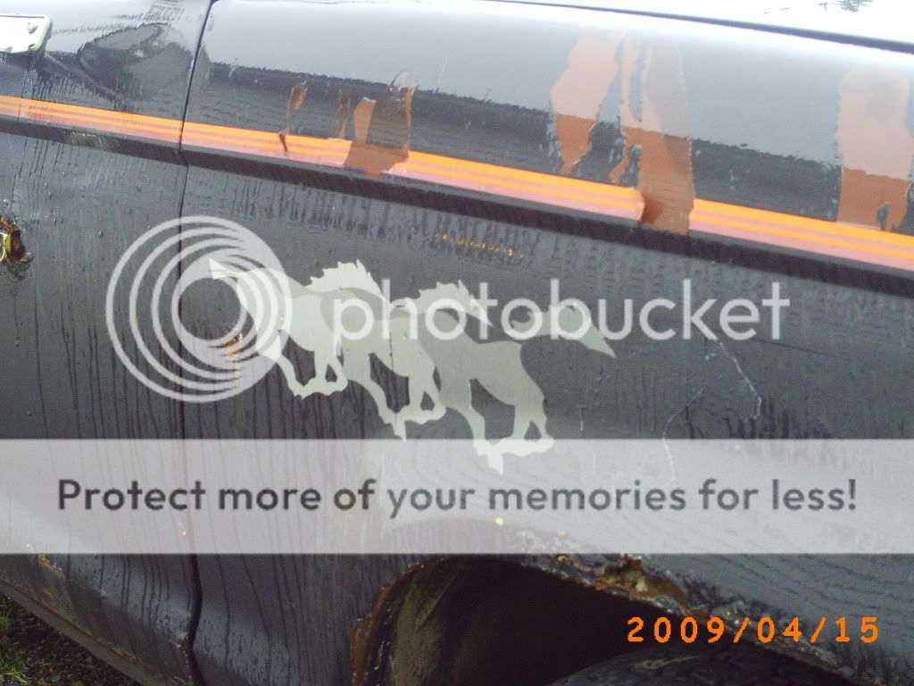 PICT0064.jpg