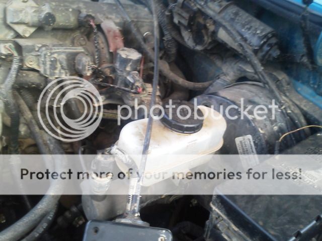 IMG_20121126_162817.jpg