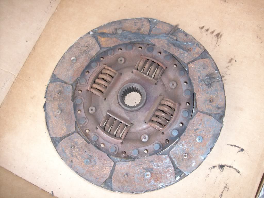 SANY0413.jpg