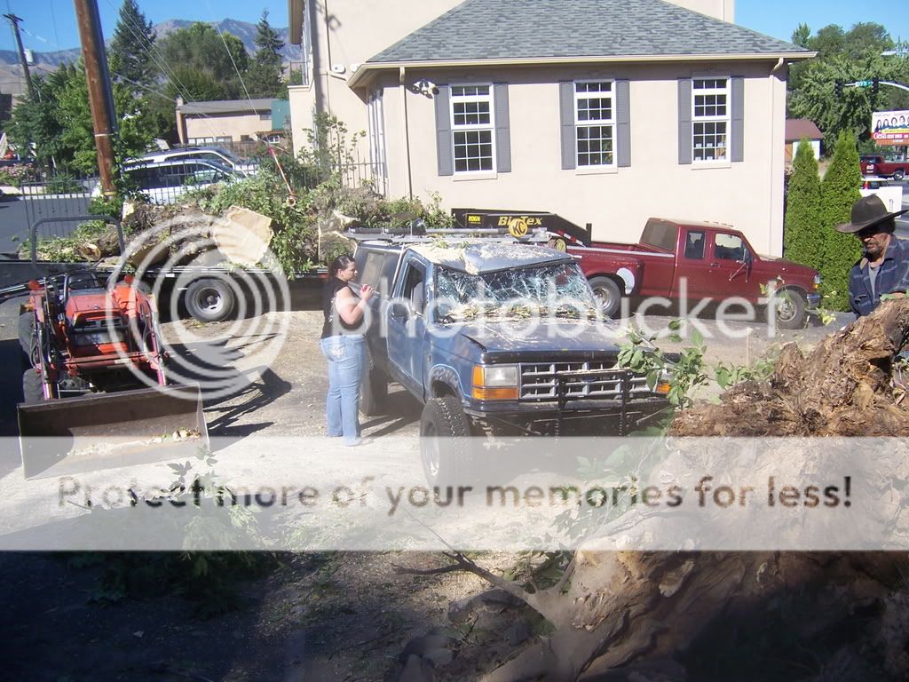 deadtruck001.jpg