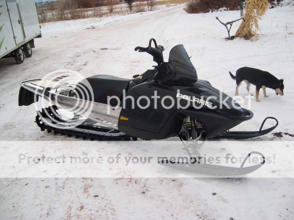 SL730023.jpg